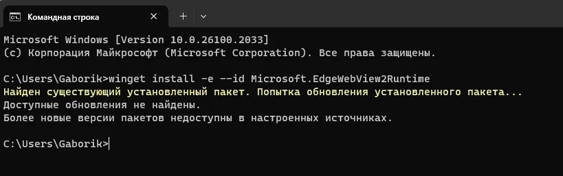 Установка Microsoft Edge WebView2 через Winget.