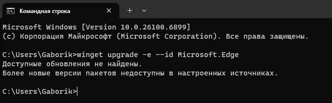 Обновление через Winget браузера Microsoft Edge
