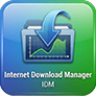 Internet Download Manager - скачать для Windows 10/11